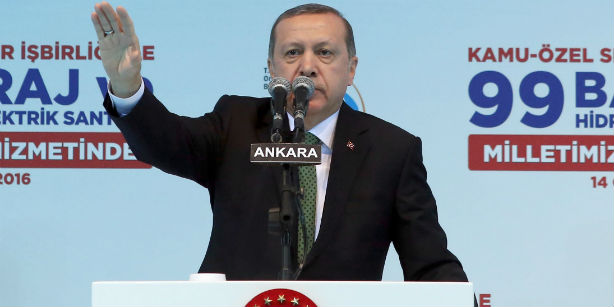 Эрдоган обругал организацию Greenpeace