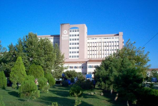 «Свиной грипп» унес жизни трех человек в Стамбуле