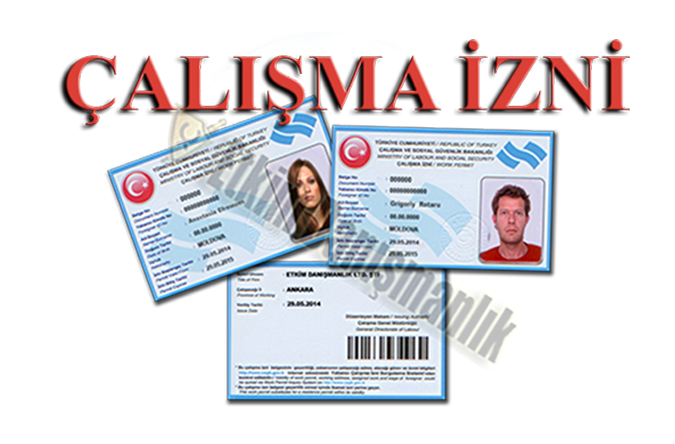 Кому Турция выдавала рабочие визы в 2015 году