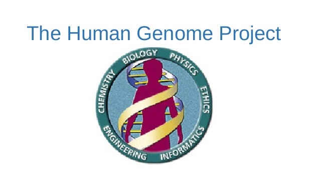В Турции будет реализован проект «Геном человека»