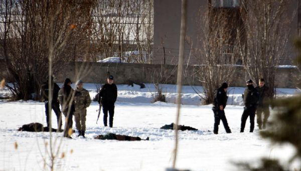 12 боевиков РПК уничтожено в Ване