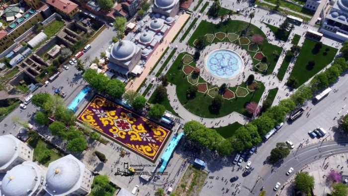 Огромный ковер из тюльпанов в центре Стамбула