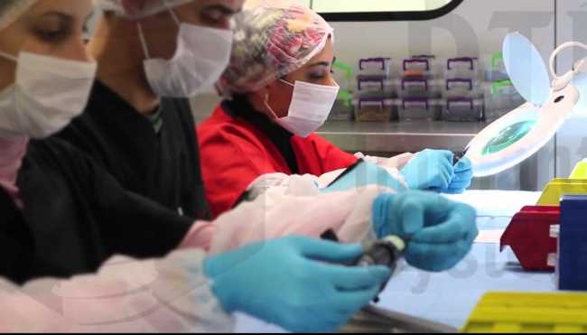 Турция займется выращиванием «халяльной» костной ткани