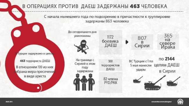 В Турции задержано 463 террориста ИГИЛ