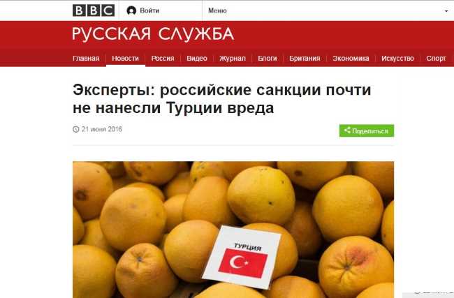 Эксперты: российские санкции почти не нанесли Турции вреда