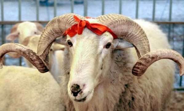 Курбан-байрам в Турции: 9 выходных дней