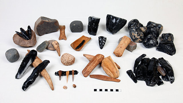 Ученые: Турция — колыбель фермерства