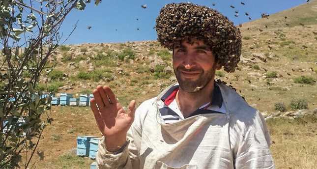 Турецкий пасечник хочет побить мировой рекорд