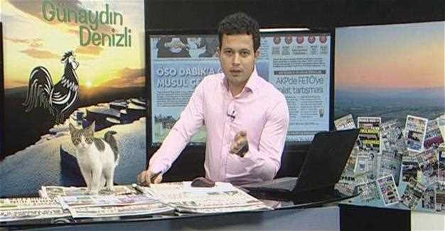 Уличный кот зашел в гости в прямом эфире