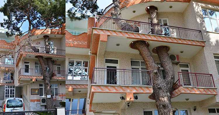 Самый необычный дом Манисы