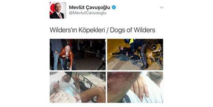 Чавушоглу показал зверства голландских полицейских