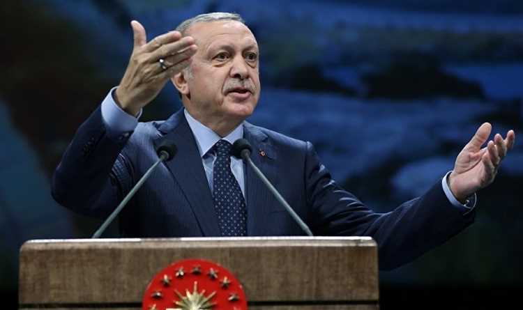 Эрдоган представил План действий в сфере прав человека