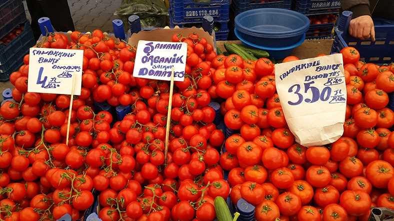 Турецкие помидоры не попадут в Россию до 2020 года