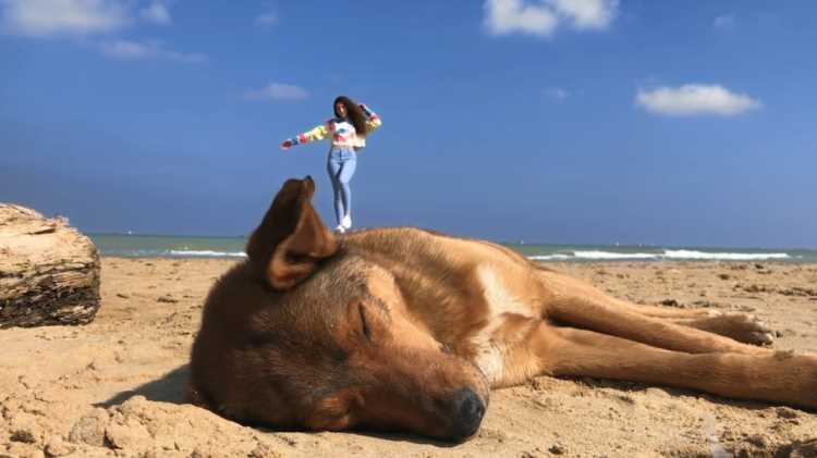 11-летние девочки сняли рекламу для Apple