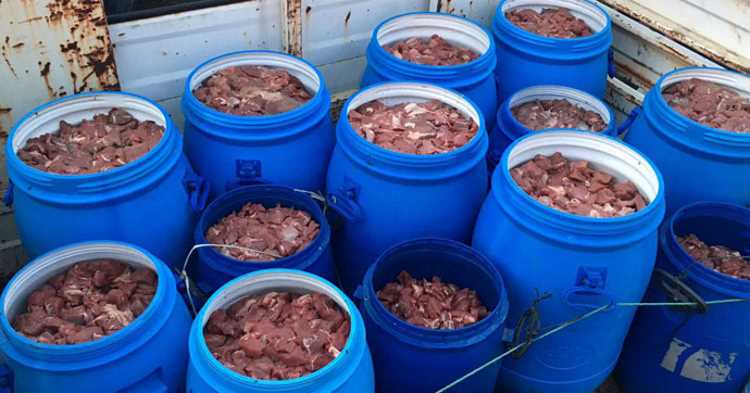 5 тонн свинины конфискованы на западе Турции