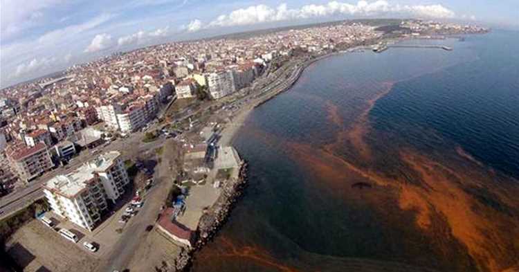 Оранжевое море вместо Мраморного появилось в Текирдаге