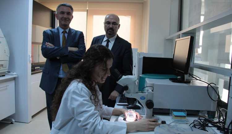 Турецкие ученые близки к излечению рака кишечника