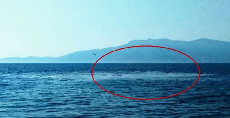 В Чанаккале произошли взрывы в море