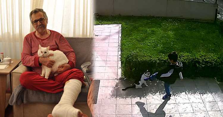 Заступился за кота ценой сломанной ноги