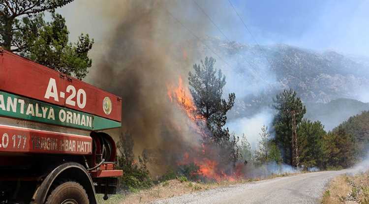 Анталия страдает от сильных пожаров