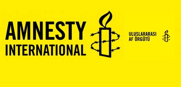 Amnesty International обвиняют в новом госперевороте