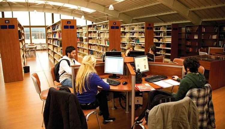 Печальная статистика по библиотекам Турции