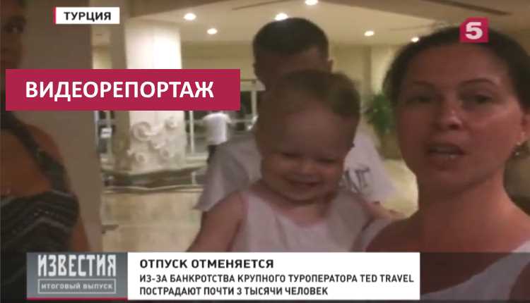 TED Travel: выселения туристов и причины банкротства