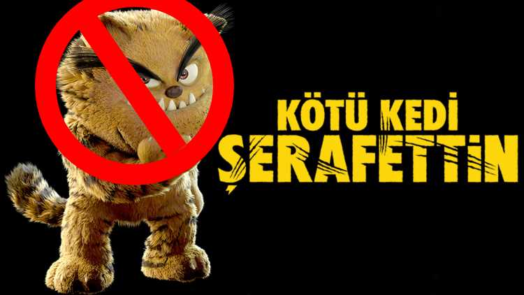 Kanal D снова оштрафован: теперь из-за мультфильма