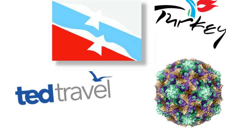 Туроператор Ted Travel стал первой жертвой Коксаки