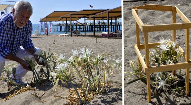 $10 500 за сорванную на  пляже Антальи лилию