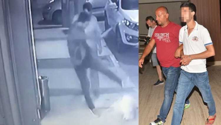 Удар по собаке не остался безнаказанным