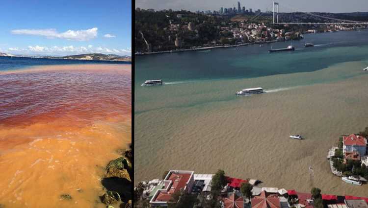 Коричневый Босфор и красное море в Измире