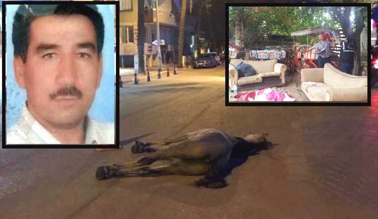 Виновник гибели лошади в Анталье покончил с жизнью