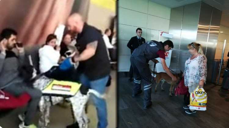 Собаки стали частью кризиса отношений Турции с Австрией