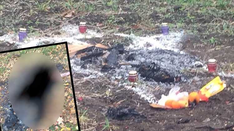 Полиция Одессы расследует ритуальное сожжение турка