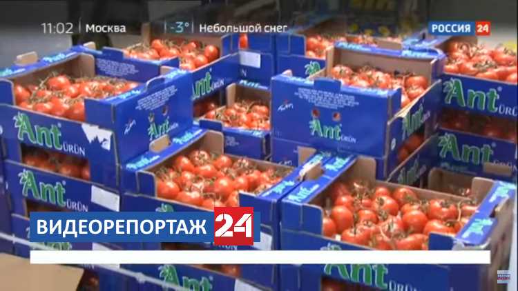 Россельхознадзор направил комиссию в Анталию