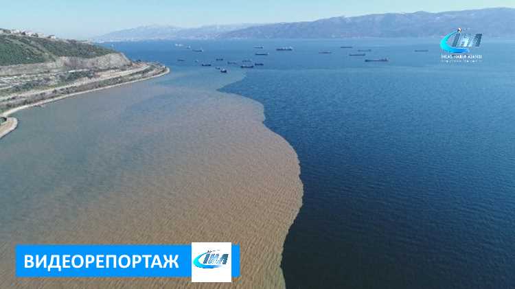 Двухцветный залив Коджаэли  с высоты птичьего полета