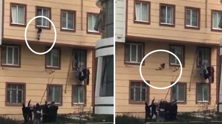 Прохожие спасли выпавшего из окна ребенка