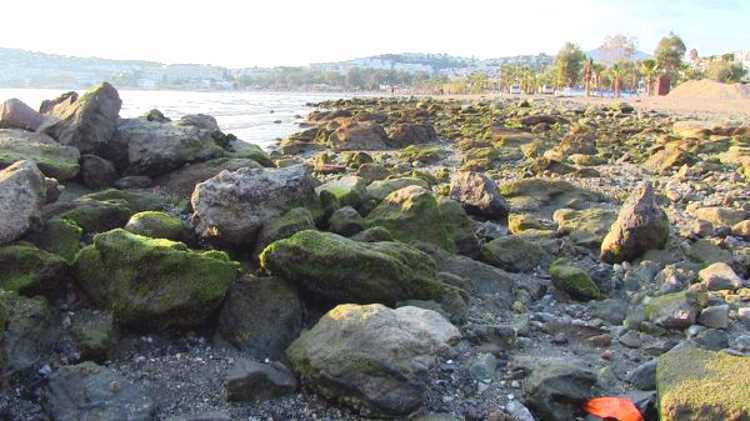 Сейсмологи успокаивают жителей Бодрума после сильного отлива