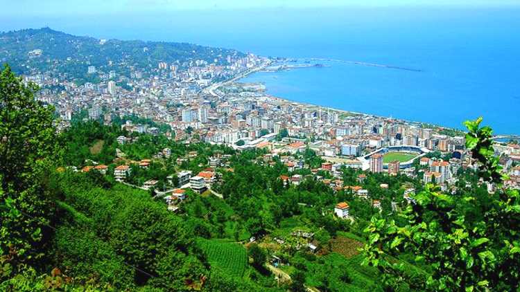 Карта вакцинации: Число синих провинций достигло 37