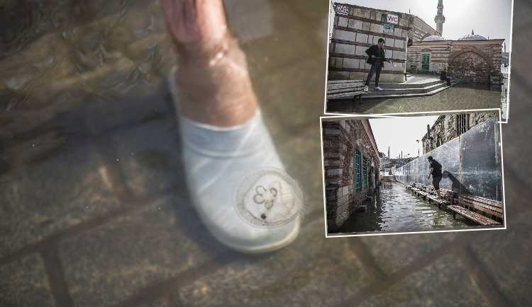 Вокруг стамбульской мечети начали плавать медузы