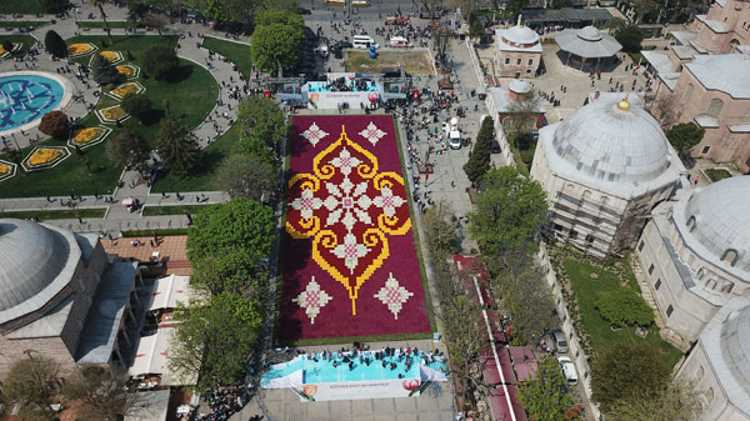 Самый большой ковер из тюльпанов украсил Стамбул