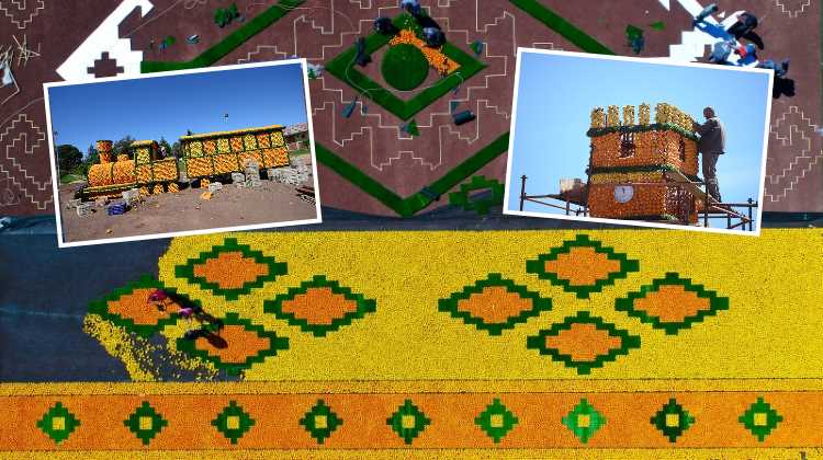 Анталия поставит рекорд на новом Фестивале апельсинов