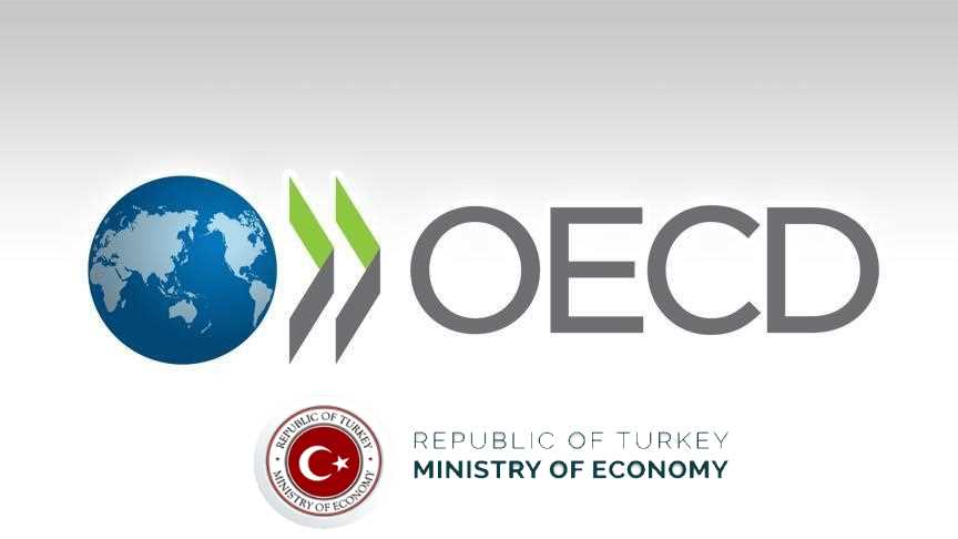 ОЭСР открывает представительство в Стамбуле