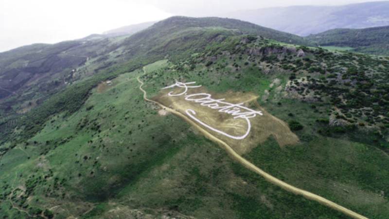 Два мировых рекорда в честь 19 мая