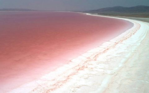 Озеро Туз окрасилось в яркий розовый цвет
