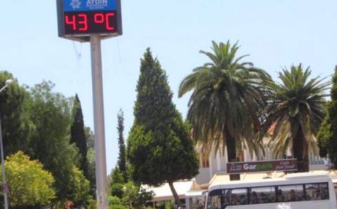 Прошедший июль был одним из самых жарких за всю историю