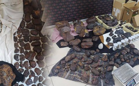 145 килограмм дорогостоящей рвоты кита конфисковали в Мерсине