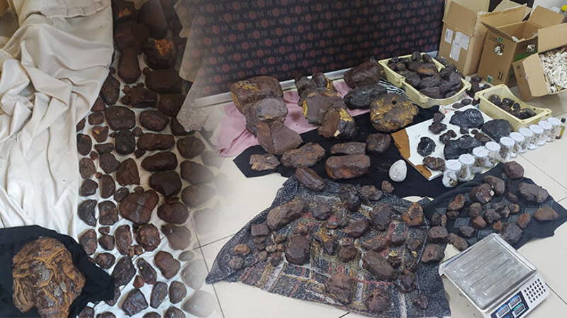 145 килограмм дорогостоящей рвоты кита конфисковали в Мерсине