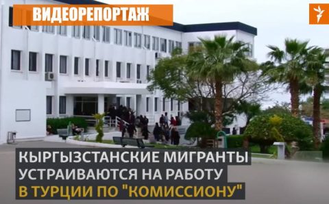 Сложности трудоустройства для кыргызстанцев в Турции